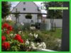 Garten mit Blumen